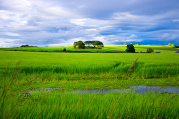 Obraz premium Agricultural field in Aberdeenshire, Scotland, UK