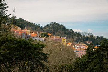 Fototapeta premium Regaleira