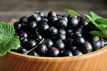 Harvest, ripe black currants, in a wooden bowl on old wooden boards.