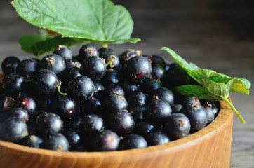 Harvest, ripe black currants, in a wooden bowl on old wooden boards.