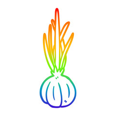 rainbow gradient line drawing garlic bulb