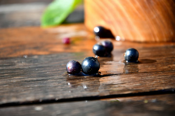 Harvest, ripe black currants, in a wooden bowl, in the garden on a sunny summer day, on old wooden boards.