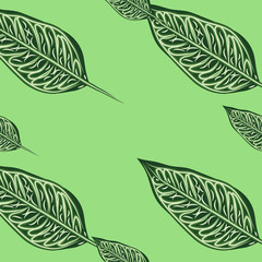 Seamless pattern with leaves of ficus benjamin on green background