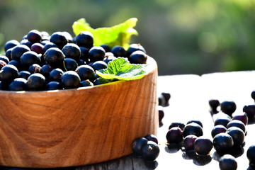 Harvest, ripe black currants, in a wooden bowl, in the garden on a sunny summer day, on old wooden boards.
