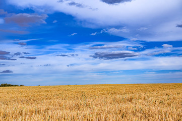 A harvested field illuminated by the sun and under a dramatic cloudy sky.