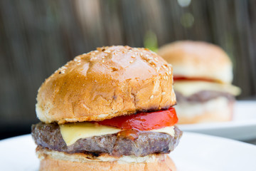 fresh tasty burger on wooden background