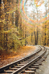 Autumn forest with golden, orange trees and fallen leaves by rail. Blurred background, soft focus