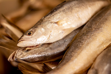 Fresh fish in the market. Approach of scales and skin of fish from the sea. Proteins from the sea.