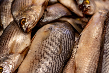 Fresh fish in the market. Approach of scales and skin of fish from the sea. Proteins from the sea.