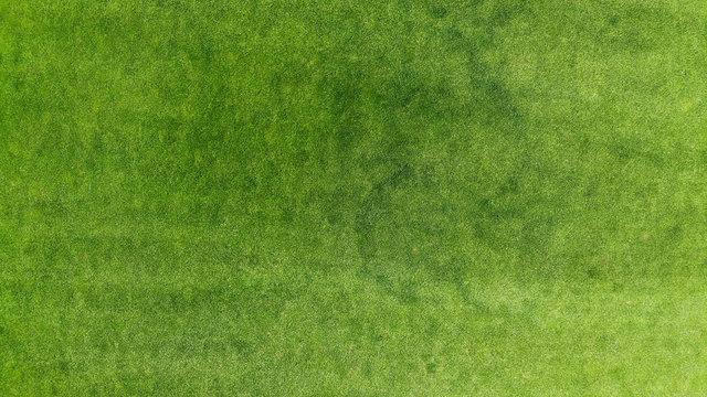 Aerial. Green grass texture background. Top view from drone.