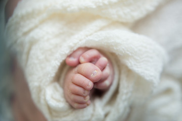 baby feet on background. feet of a newborn baby. little foot