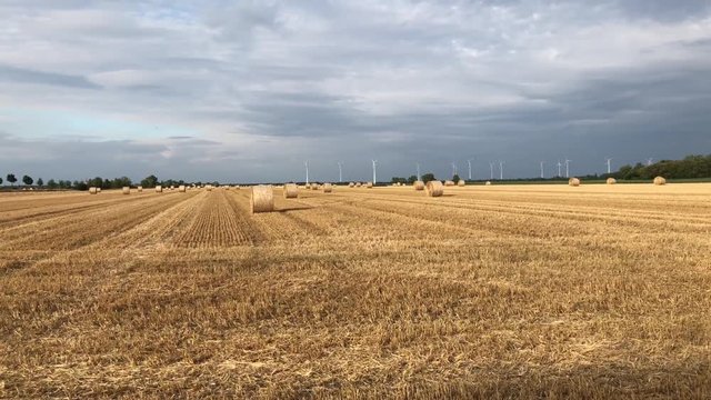 Ein abgeerntetes Getreidefeld mit Strohballen, Strohrollen