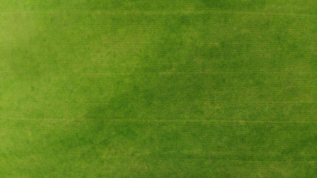 Aerial. Green grass texture background. Top view from drone.