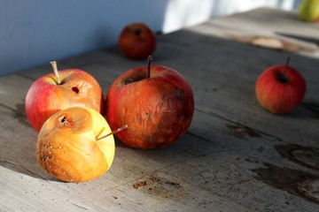 Fototapeta na wymiar Rotten bad apples on a log table.