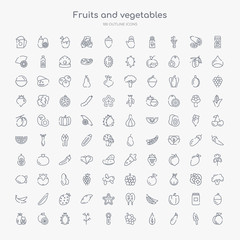 100 fruits and vegetables outline icons set such as apricot, aubergine, basil, blackberry, celery, dill, dragon fruit, grapefruit