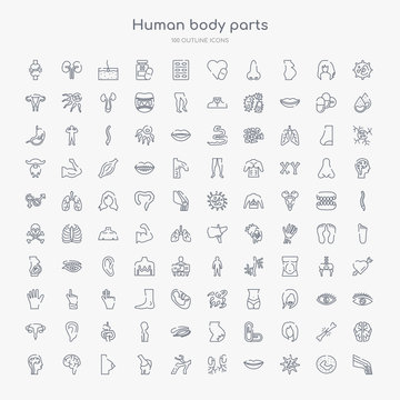 100 human body parts outline icons set such as ball of the knee, big cellule, big lips, blood supply system, blood vessel, bones joint, bosom, brain body organ