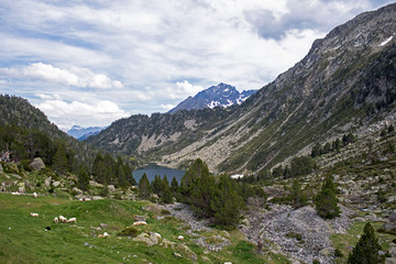 Landscape of Les Laquettes lake. Circular route of the lakes in the Nature Reserve of Neouville in France, Hautes Pyrinees.