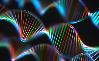 DNA Genetic Code Colorful