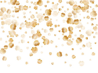 Gold seashells vector, golden pearl bivalved mollusks. 