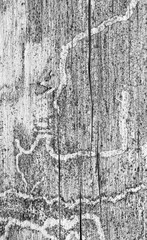 natural ornament, wooden pattern background