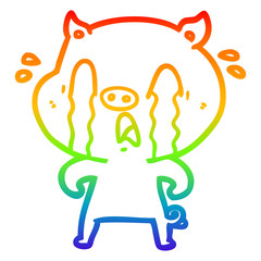 rainbow gradient line drawing crying pig cartoon