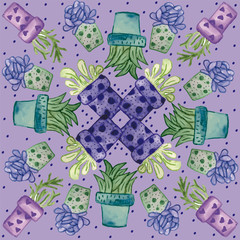 023-SUCULENTS C05-01