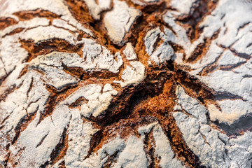 Freakishly cracked crust of rye baked bread sprinkled with flour