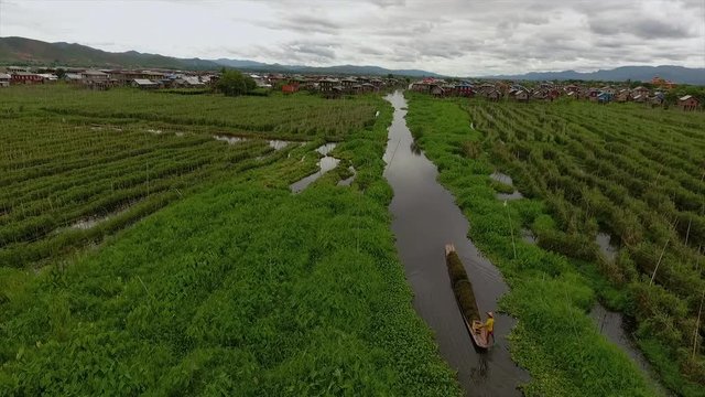 Wide high-angle push in crane down dolly shot above a water channel of a farmer transporting weeds in his boat, floating lush green gardens,  and stilt houses in Nampan Village, Inle Lake, Myanmar