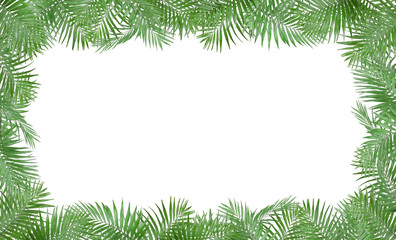 Fototapeta na wymiar Frame made of fresh green tropical leaves on white background. Space for design