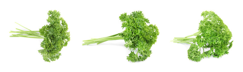 Set of fresh green parsley on white background
