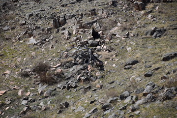 Near the Uybat river.Khakassia.