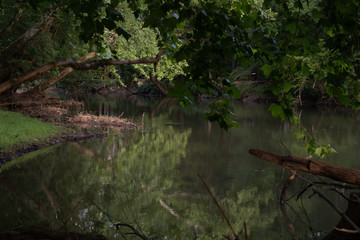 A small stream and pond