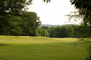 A gold course view from the rough