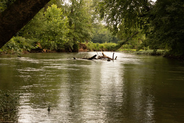 The Flint River in North Alabama