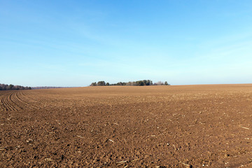 plowed field, spring