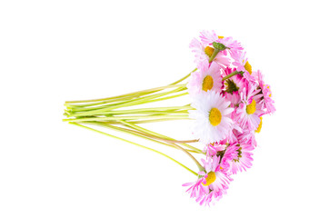 Obraz premium colorful Small bouquet of tender daisies. Photo