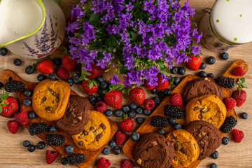 Campanula with wild fruits and chocolate biscuits