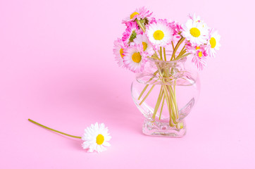 colorful Small bouquet of tender daisies. Photo