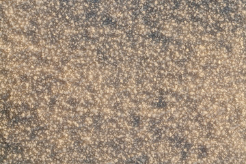 Snow crystals winter