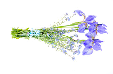Small bouquet of blue garden flowers. Photo