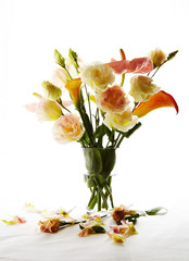 Anthurium ,calla, Lisianthus