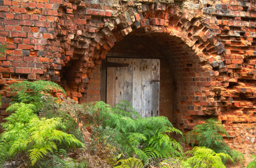 Antique bricks line the walls of a brick kiln on Maria Island, Tasmania, with bracken ferns in...