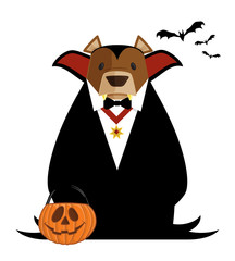 Vector Halloween Cartoon Bear Illustration in a Vampire Dracula Costume Holding a Trick or Treat Jack O'Lantern Bucket