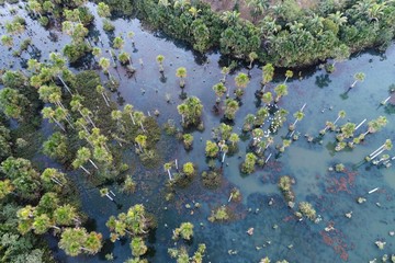 Obraz na płótnie Canvas Lagoa das Araras, Nobres, Mato Grosso, Brazil. Great landscape. Travel destination. Vacation travel. Macaws Lake, touristic point.