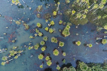 Lagoa das Araras, Nobres, Mato Grosso, Brazil. Great landscape. Travel destination. Vacation travel. Macaws Lake, touristic point.