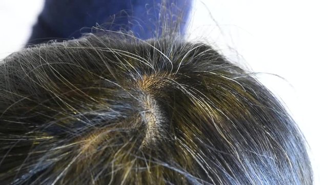40歳代日本人女性の髪の毛
