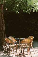 outdoor summer seating area under a tree in the sun