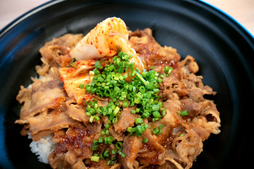 Japanese beef rice bowl, closeup