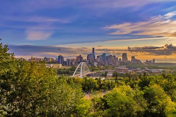 Morning Edmonton Skyline - obrazy, fototapety, plakaty