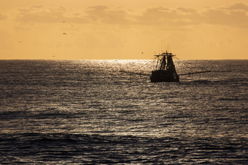 Fishing trawler returning from a night out, Gold Coast, Queensland, Australia